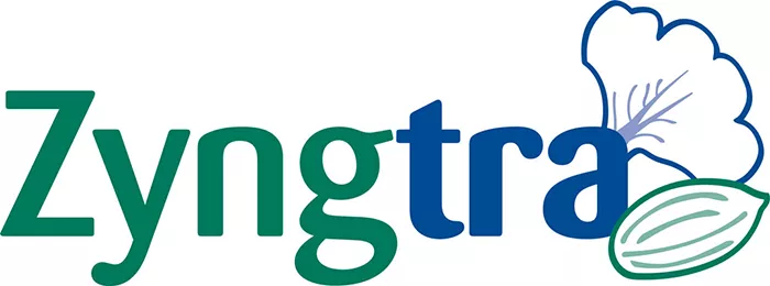 Zyngtra_Logo
